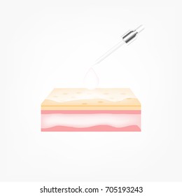 Different types of skin layers