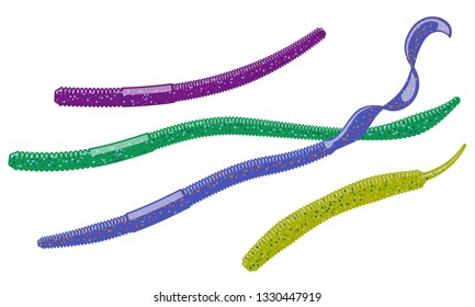 DIfferent types of soft plastic worm baits. Scented and salted silicone bait lures for catching bass, pike, perch, zander and other predatory fish.