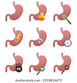 Different types of stomach disease. Vector illustration