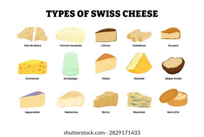Different types of swiss cheese types. Labeled tete de moine, tomme vaudoise l etivaz hobelkase, gruyere, emmental schabziger tilsiter raclette belper knolle appenzeller reblochon sbrinz, blushatel
