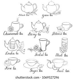 different types of tea isolated at white background, hand drawn illustration