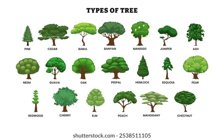 Diferentes tipos de coleção de árvores, espécimes de tipo, pinheiro, cedro, babul, banyan, manga, zimbro, freixo, neem, goiaba, carvalho, peepal, cicuta, sequoia, pera, sequoia, cereja, olmo, pêssego, mogno, castanheiro.