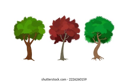 Different types of trees isolated on white background. Vector illustration graphics.