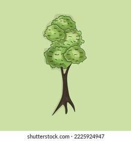 Different types of trees oak, poplar, maple