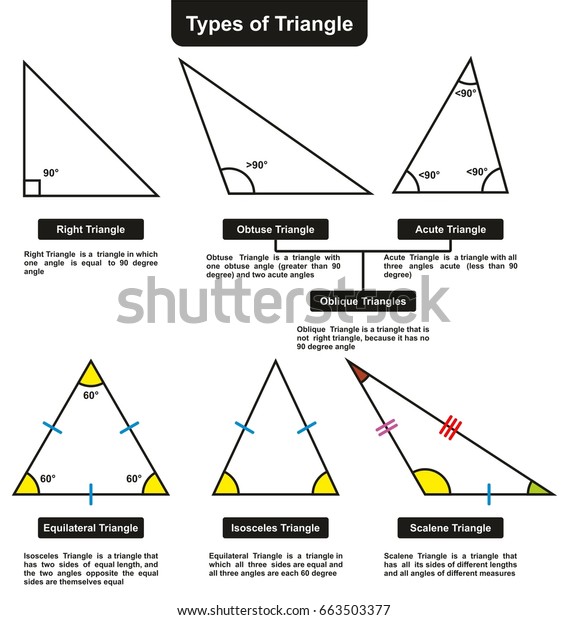 不同类型的三角形定义角度信息图表 包括右侧斜等腰和鳞片 用于数学科学教育库存矢量图 免版税