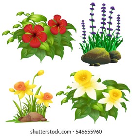 Different types of tropical flowers illustration