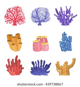 Different Types Of Tropical Reef Coral Collection