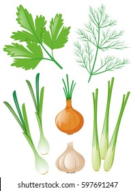 Different types of vegetables on white illustration