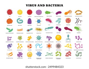 Different types of virus and bacteria set collection poster for healthcare  education, Pathogenic bacteria, viruses and microbes,  Disease-causing, Color germs, bacterium type, microorganism infection