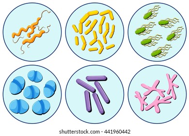 Diferentes tipos de virus en la ilustración circular