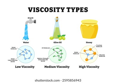 Different types of viscosity types. Fluid's resistance to flow. Labeled water, olive oil, honey, with low, medium and high viscosity. Smoother movement. Vector illustration. Physic educational.