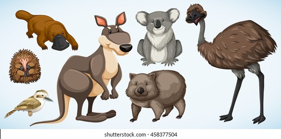 Different types of wild animals in Australia illustration