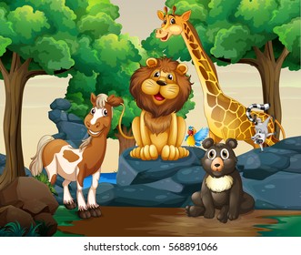 Different types of wild animals in the forest illustration