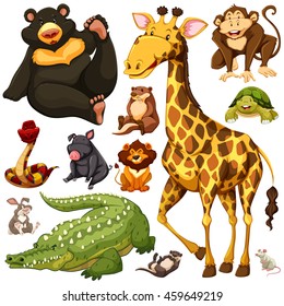 Different types of wild animals illustration