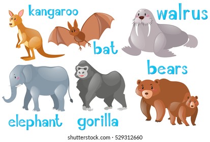 Diferentes tipos de ilustración de animales salvajes