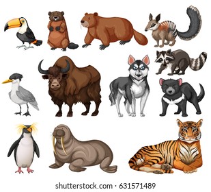 Many Different Animals Images, Stock Photos & Vectors | Shutterstock