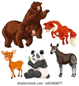 Diferentes tipos de ilustración de animales salvajes