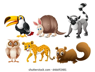 Different types of wild animals illustration