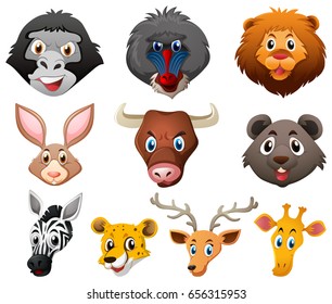 Different Types Wild Animals Illustration Stock Vector (Royalty Free ...