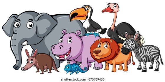 Different types of wild animals illustration