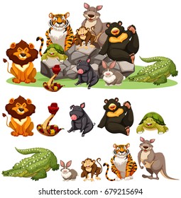 Different types of wild animals illustration