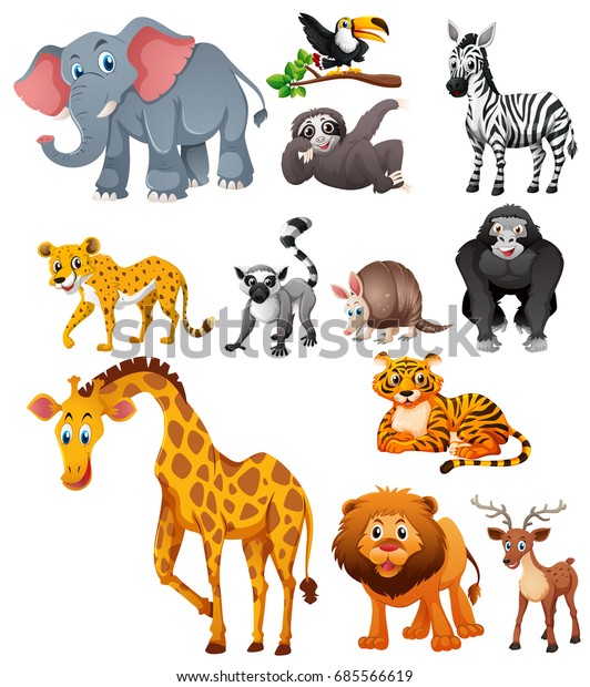 Different Types Wild Animals Illustration Stock Vector (Royalty Free ...