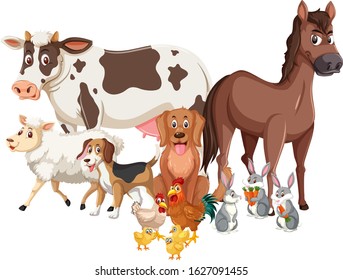 Different types of wild animals on white background illustration