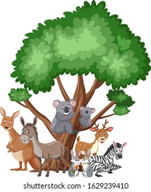 Different types of wild animals on white background illustration