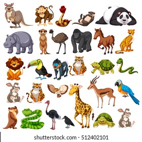 Different Types Of Wild Animals On White  Illustration