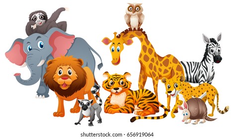 Different Types Wild Animals On White Stock Vector (Royalty Free ...