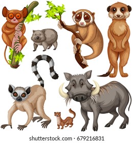 Different types of wild animals on white background illustration