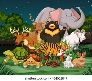 Different types of wild animals in park illustration