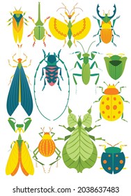 Diferentes tipos de insecto silvestre ilustrador vector. insecto pop colorido