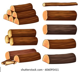 Different types of woods illustration