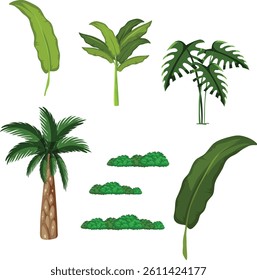 different typest of  trees and leaves