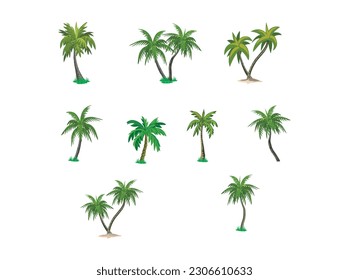 different variant palm tree collection vector illustration. isolated on a white artboard