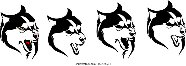 different variants of the head dog breed Siberian husky or wolf