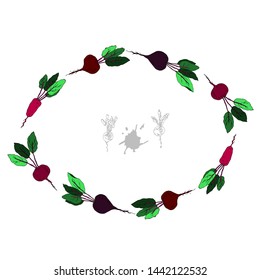 Different varieties of beets. Card. Vector illustration.