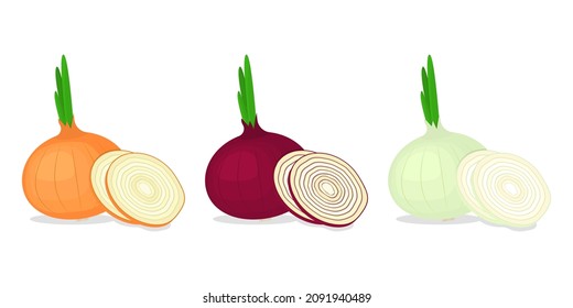 Different varieties of onions and slices vector set