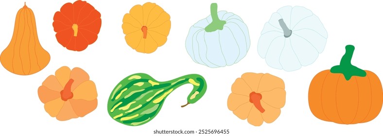 Different varieties of pumpkins hand drawn clipart. Pumpkins illustration for cards, posters, banner, backgrounds, and more. Fall, autumn pumpkins set clipart.