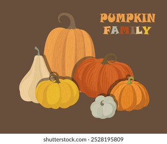 Diferentes variedades de calabazas, juntas entre sí. Selección de otoño, octubre.