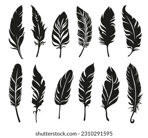 Different vector bird feather silhouettes. Plume collection.