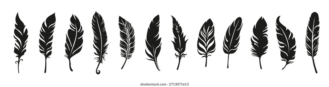 Different vector bird feather silhouettes. Plume collection. 
