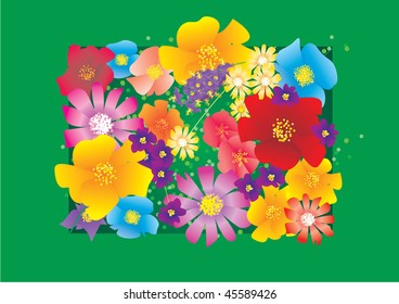 different vector flowers bouquet