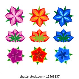 different vector flowers set