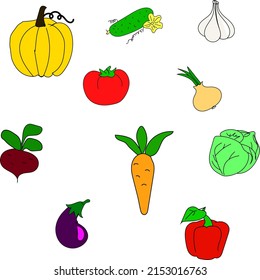 Different vegetables on a white background.