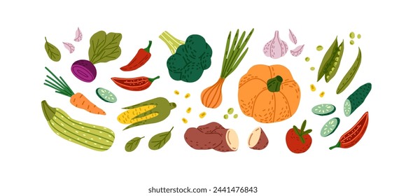 Juego de verduras diferentes. Productos agrícolas frescos, cosecha de otoño saludable, cultivo de otoño. Comida vegana natural, calabaza orgánica, cebolla, zanahoria. Ilustración de vector de dibujo aislado plano sobre fondo blanco