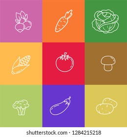 Different vegetables thin line icons on colorful squares set. Radish, carrot, cabbage, corn, tomato, mushroom, broccoli, eggplant, potatoes. Outline vegan and eco food vector illustrations.