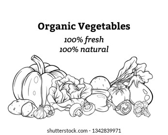 different vegetables vector card. Natural fresh vegetables, label for market. Vegeterian set. Hand drawn sketch style