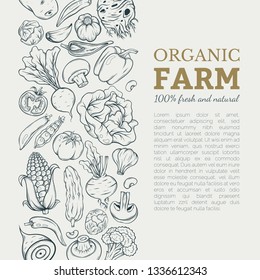 different vegetables vector frame. Natural fresh vegetables, label for market. Vegeterian set. Hand drawn sketch style